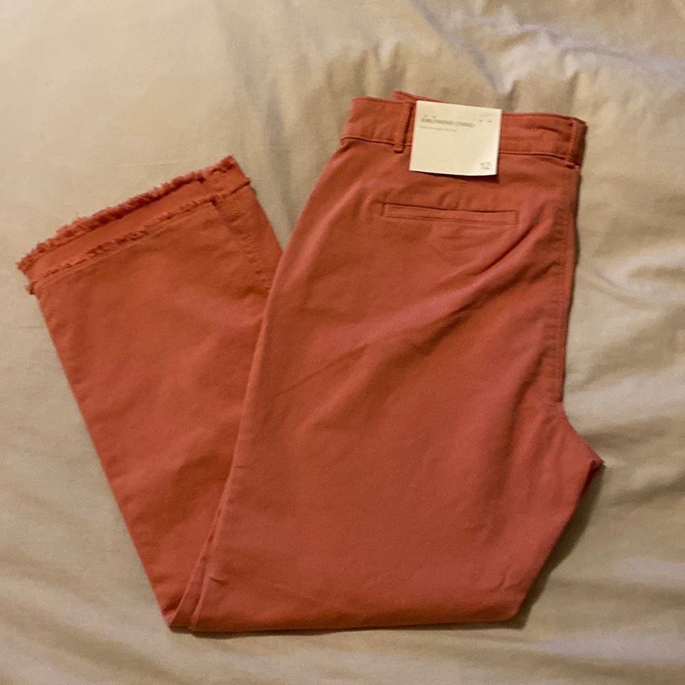 NWT Loft Pink Ankle Pant